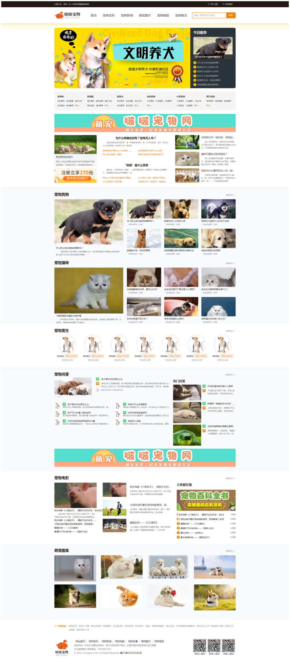 啵啵寵物網(wǎng)站建設案例